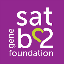 Logotype of SATB2 Gene Foundation